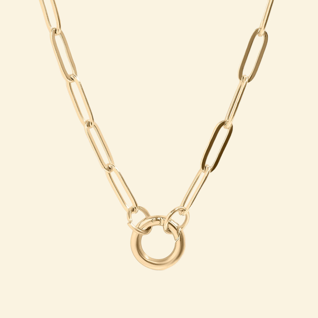 Stainless Steel Paperclip Carabiner Charm Holder Necklace